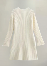 Elodie | Ribbed Knit Mini Dress 
