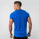 dante essential klassiek heren t-shirt zwart, basic heren t-shirt katoen wit, sportief heren t-shirt legergroen, casual heren t-shirt bordeauxrood, ademend heren t-shirt kobaltblauw, antraciet basic heren shirt korte mouwen, heren basic t-shirt regular fit, comfortabele heren t-shirt voor elke dag
