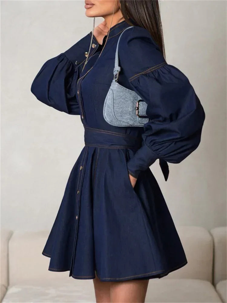 Aurelia Denim Chic Mini Dress detail pofmouw