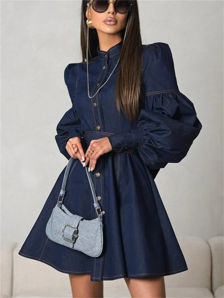 Aurelia Denim Chic Mini Dress zijaanzicht